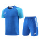 2023 AD03 Blue Training Short Suit