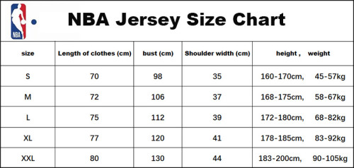 BULLS DEROZAN #11 Blue Top Quality Hot Pressing NBA Jersey