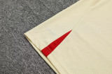23-24 PSG Beige Training Short Suit