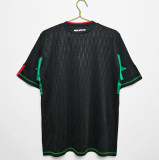 2010 Mexico  Away Soccer Jersey
