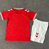 24-25 Denmark Home Kids Soccer Jersey
