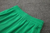 24-25 Palmeiras Fluorescent green Training Short Suit