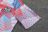 23-24 BAR White Red Blue Training Short Suit