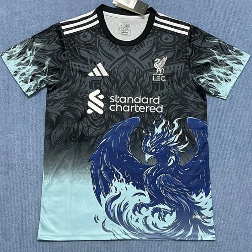24-25 LIV Black Blue Special Edition Fans Training shirts