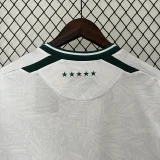 24-25 Santiago Wanderers Away Fans Soccer Jersey