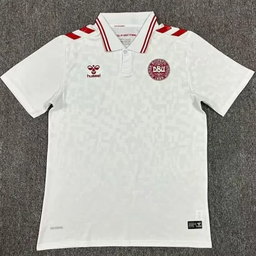 24-25 Denmark Away Fans Soccer Jersey
