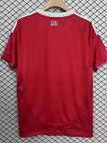 25-26 Internacional Home Fans Soccer Jersey