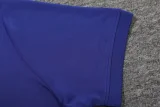 25-26 France Fancy blue Polo Tracksuit
