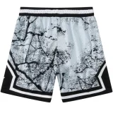 C2439 Jordan Grey Casual Short Pants