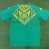 24-25 JAMAICA Green Training shirts