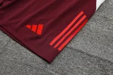 24-25 Bayern Dark red Training Short Suit
