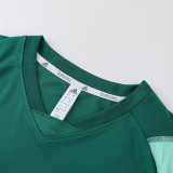 2023 AD03 Green Training Short Suit