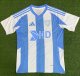 2025 Ulsan HD FC Away Fans Soccer Jersey 蔚山现代
