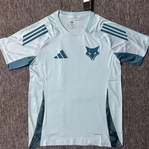 25-26 Cruzeiro Blue Green Training Shirts