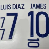 2024 Colombia White Fans Training shirts