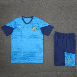 24-25 Palmeiras Lake blue Training Short Suit