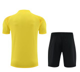 23-24 Dortmund Yellow Training Short Suit