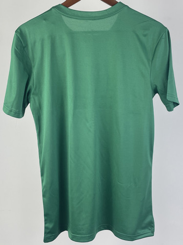 2023 CELTICS Green Quick drying T-shirt