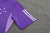 23-24 Cruzeiro Purple Training Short Suit