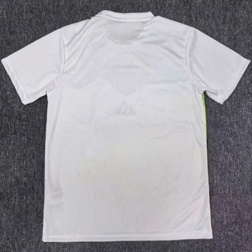 25-26 Japan White Special Edition Fans Soccer Jersey *数码动画
