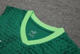 24-25 Palmeiras Green Tank top and shorts suit