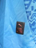 24-25 Mamelodi Sundowns Away Player Version Soccer Jersey