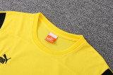 23-24 Dortmund Yellow Training Short Suit