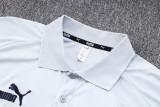 23-24 Man City Light Grey Polo Tracksuit #C991