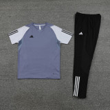 2023 AD03 Grey Short-sleeved Trouser Suit