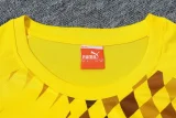 24-25 Dortmund Yellow Training Short Suit