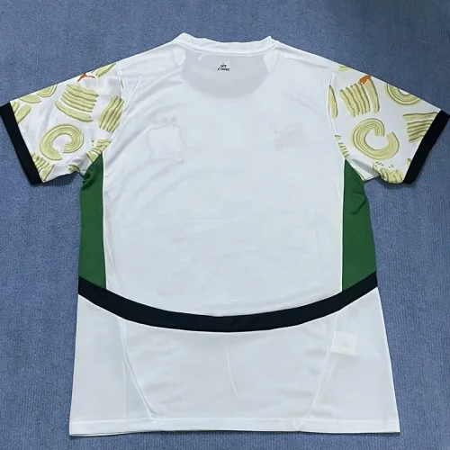 24-25 Ivory coast Concept Edition Away Fans Soccer Jersey