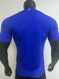 24-25 Argentina Away Player Version Soccer Jersey (V领)
