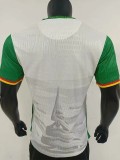 25-26 Cameroon White Player Version Soccer Jersey