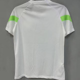 2023 Palmeiras White Training shirts