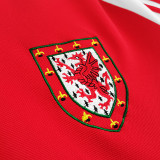 1982 Wales Home Retro Soccer Jersey