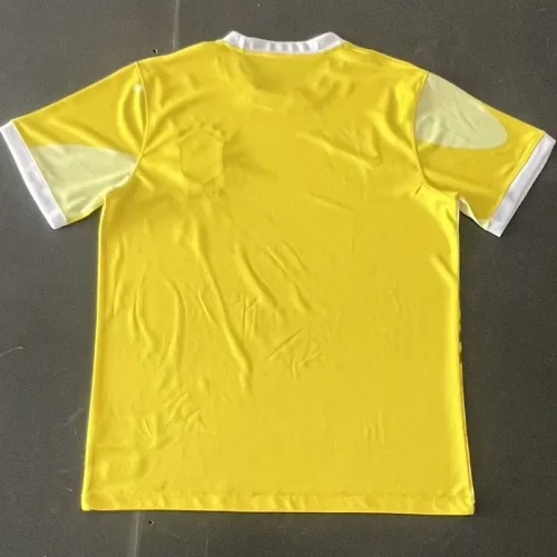 24-25 Brazil Special Edition Training Soccer Jersey *城市版