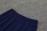 23-24 AL-Nassr Royal Blue Training Short Suit