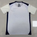 25-26 Botafogo Beige Training shirts