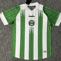 24-25 Coritiba Home Fans Soccer Jersey 24-25 Coritiba Home Fans Soccer Jersey