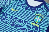 24-25 Brazil Fancy blue Training Short Suit