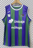 24-25 BAR Purple Green Vest