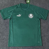 2023 Palmeiras Green Training shirts