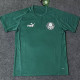 2023 Palmeiras Green Training shirts