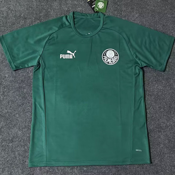 2023 Palmeiras Green Training shirts
