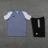 2023 AD03 Grey Training Short Suit