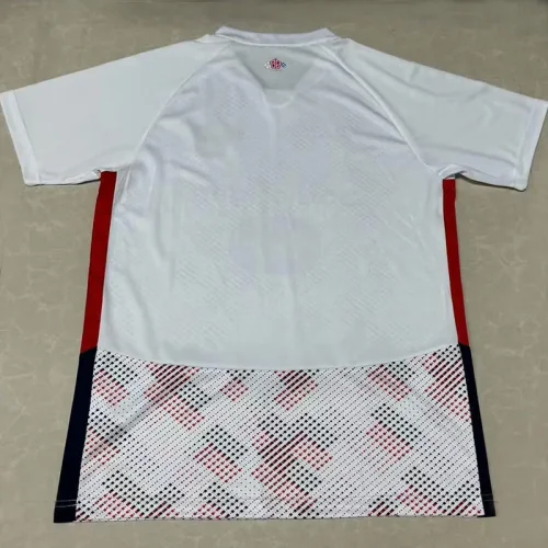 24-25 Lille Away Fans Soccer Jersey