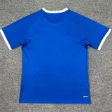 24-25 Cardiff City Home Fans Soccer Jersey