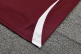 24-25 Bayern Dark red Training Short Suit