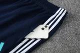 2025 AD Royal blue Jacket Tracksuit #2313