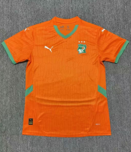 24-25 Ivory Coast Home Fans Soccer Jersey